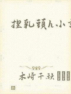 捏乳头h小说封面