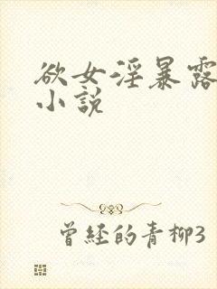 欲女淫暴露荡,小说