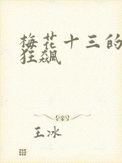 梅花十三的乳液狂飙