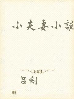 小夫妻小说