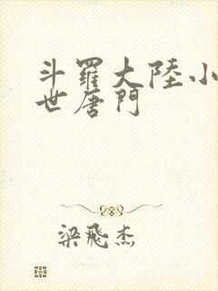 斗罗大陆小说绝世唐门