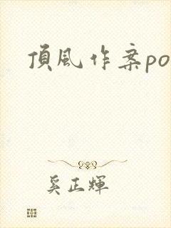 顶风作案po封面