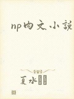 np肉文小说