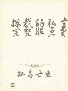 总裁的私有宝贝完整版免费阅读