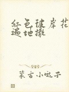 红色彼岸花花瓣遍地撒