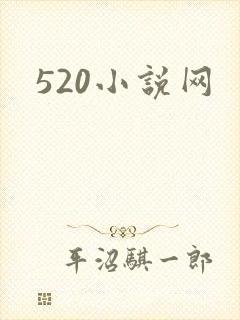 520小说网