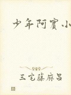 少年阿宾小说封面