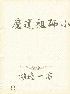 魔道祖师小说