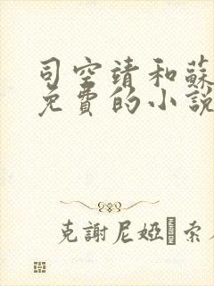 司空靖和苏月汐免费的小说笔趣阁