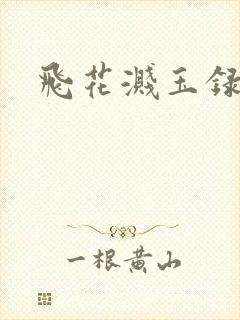 飞花溅玉录
