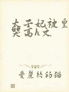 太子妃被皇上c哭高h文封面