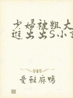 少妇被粗大猛进进出出S小说