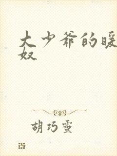 大少爷的暖床小奴