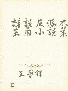 谁说反派不能当主角小说叶玄