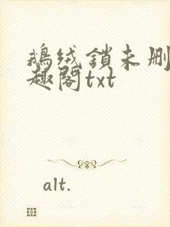 鹅绒锁未删除笔趣阁txt封面