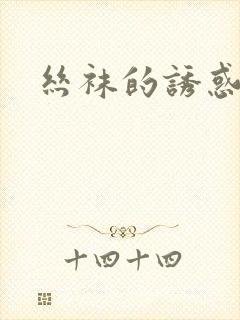 丝袜的诱惑小说