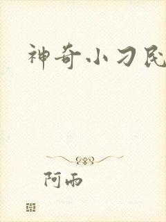 神奇小刁民