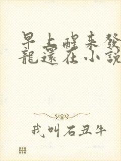 早上醒来发现巨龙还在小说