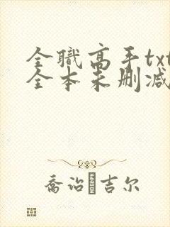 全职高手txt全本未删减下载