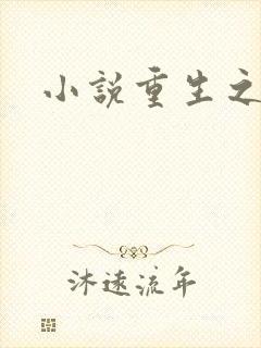 小说重生之官道