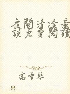夜阑清冷意欢小说免费阅读封面