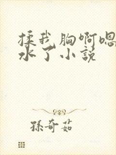 揉我胸啊嗯～喷水了小说封面