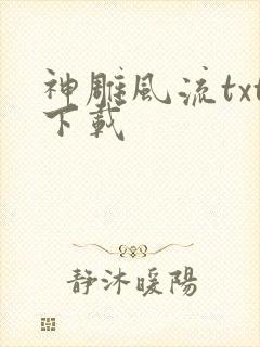 神雕风流txt下载