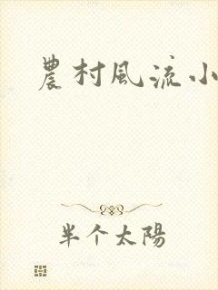 农村风流小说封面