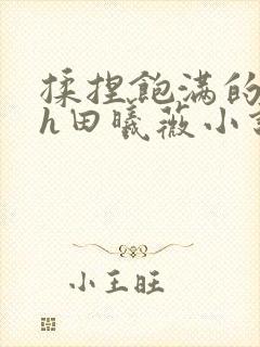 揉捏饱满的双乳h田曦薇小说