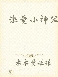 激爱小神父