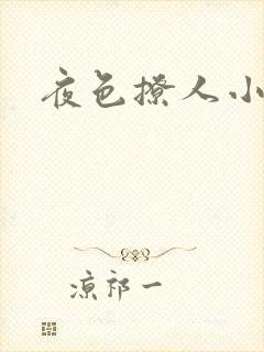 夜色撩人小说