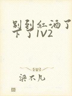 别到红酒了装不下了1V2