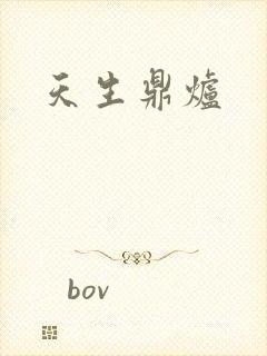 天生鼎炉封面