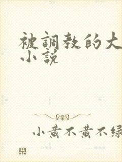 被调教的大小姐小说