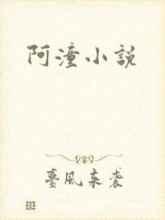 阿潼小说