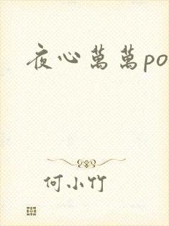 夜心万万po封面