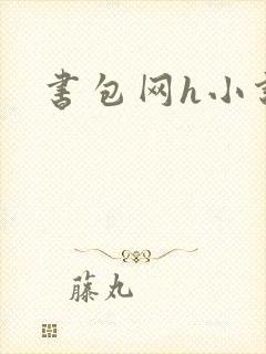 书包网h小说封面