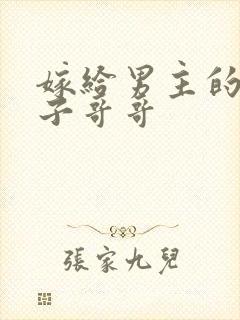 嫁给男主的病秧子哥哥封面