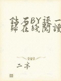 钻石BY逐一而归在线阅读