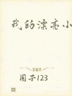 我的漂亮小后妈