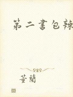 第二书包辣文