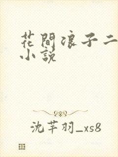 花间浪子二十部小说封面