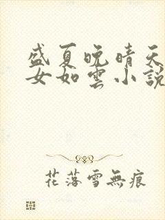 盛夏晚晴天之美女如云小说