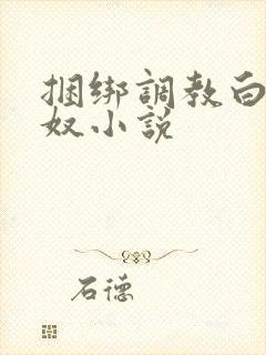 捆绑调教白丝绳奴小说