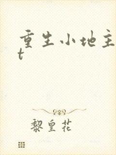 重生小地主txt