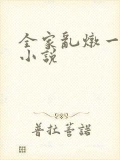 全家乱炖一锅烩小说