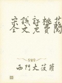 宋钱许桃花小说全文免费阅读