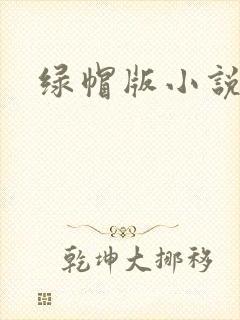 绿帽版小说
