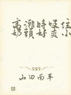 高潮时吸住我的奶头好爽小说封面