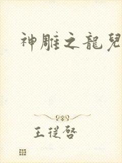 神雕之龙儿别传封面